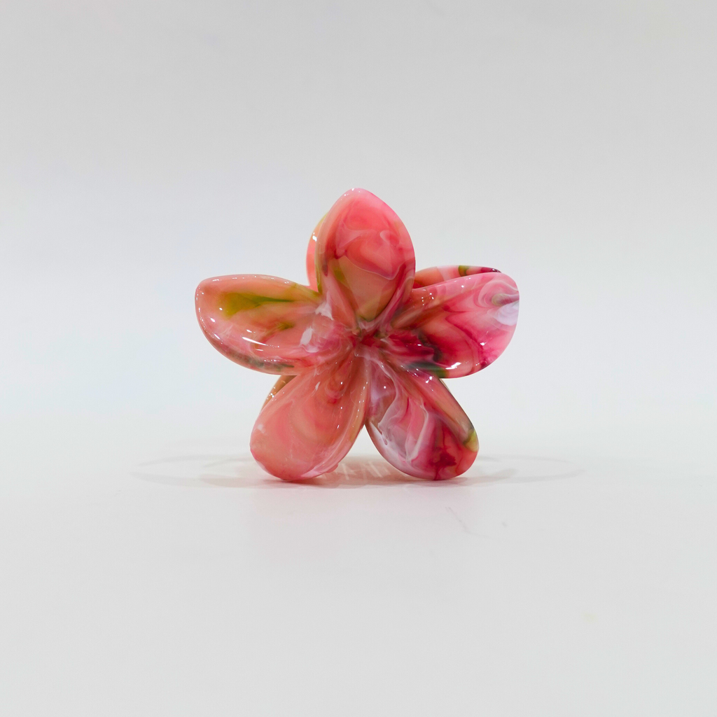 Aloha Claw Clip - Qwerky Colour