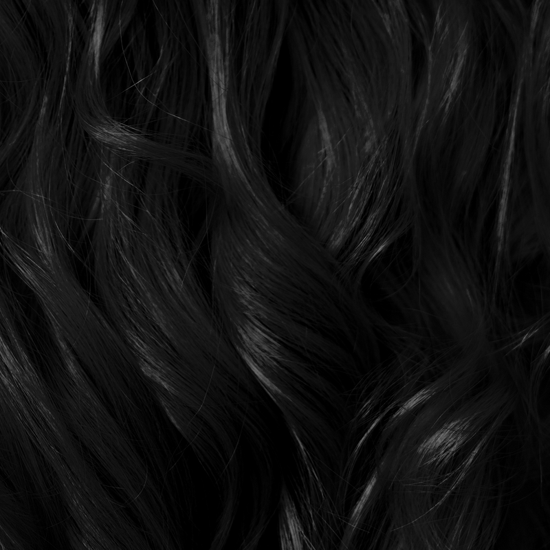Unbleached black/dark brown hair — starting tone level 1-3