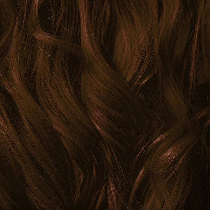 Unbleached black/dark brown hair — starting tone level 4-5
