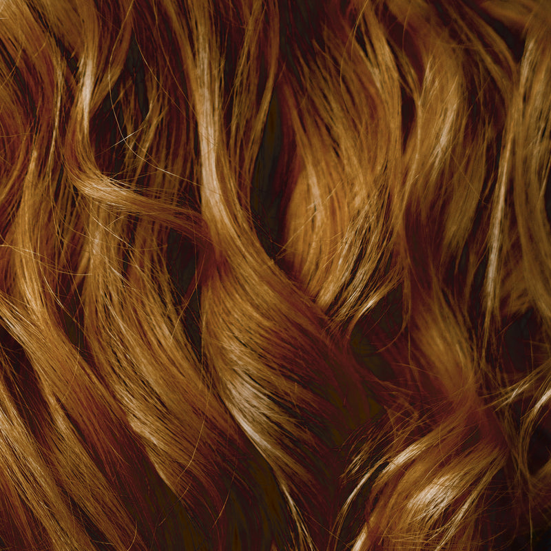 Unbleached black/dark brown hair — starting tone level 6-7
