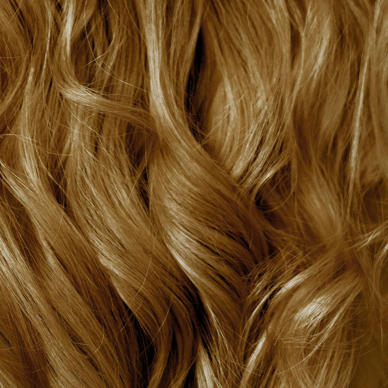Visibly brown hair — starting tone level 7