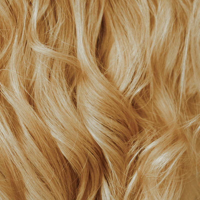 Unbleached black/dark brown hair — starting tone level 8-10